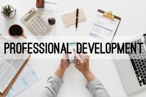 professional development blog posts